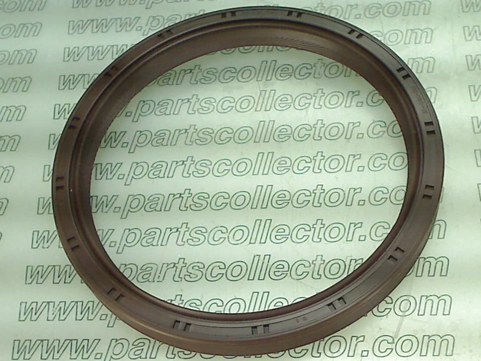 OIL SEAL